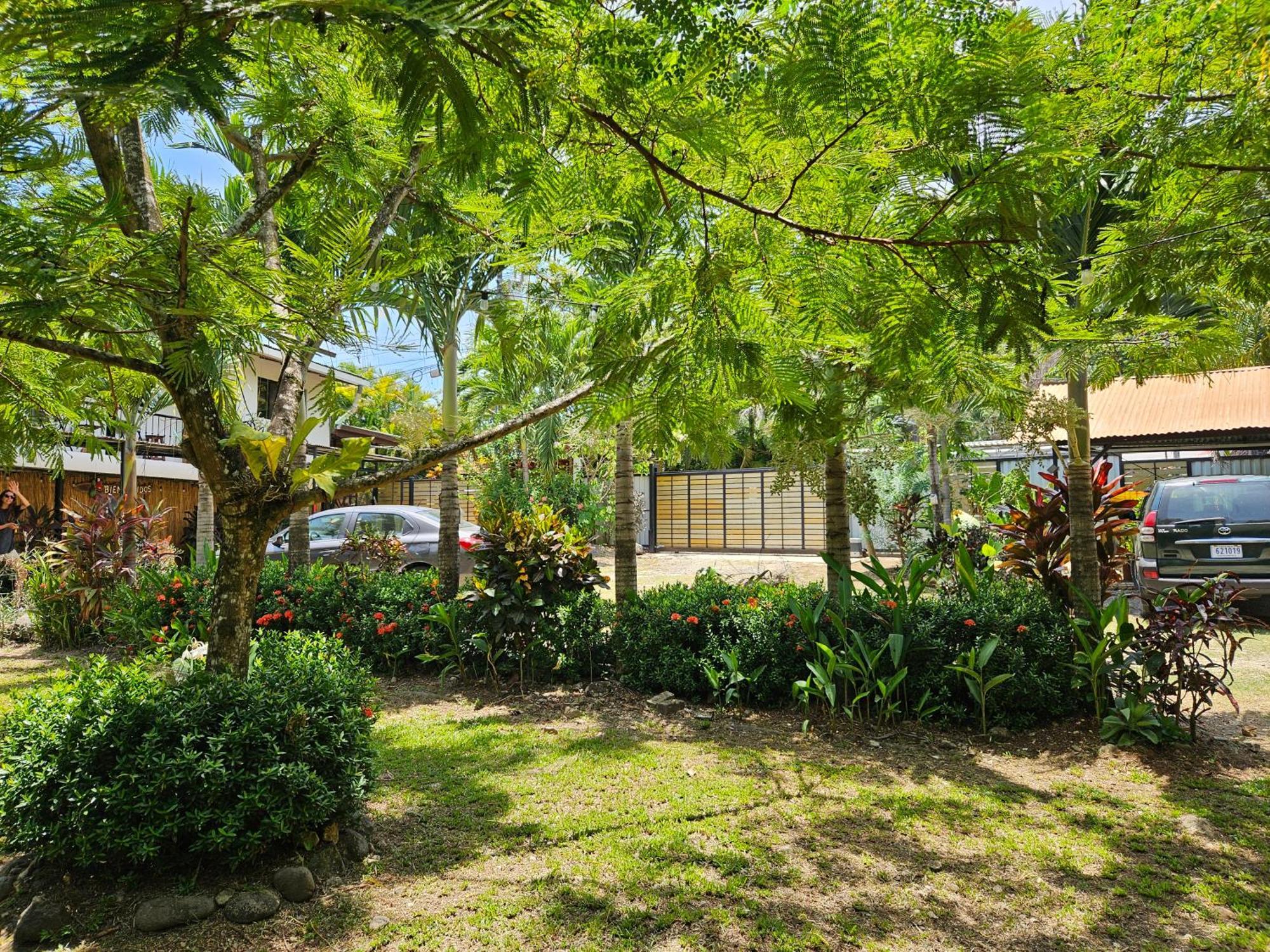 Trebolmar Apartments For Remote Work Playa Santa Teresa  Eksteriør billede